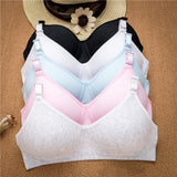 Simple Girl Underwear Junior High School Student Underwear Cotton No Steel Ring Bra