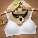 Simple Girl Underwear Junior High School Student Underwear Cotton No Steel Ring Bra