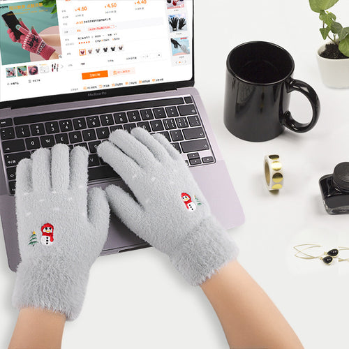 Ladies Touch Screen Gloves For Winter Warmth And Fleece