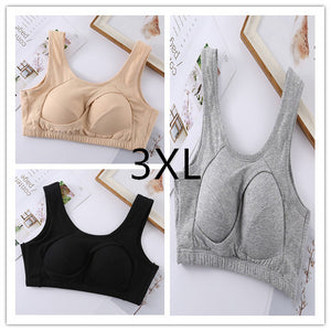 Sports shockproof ladies bra