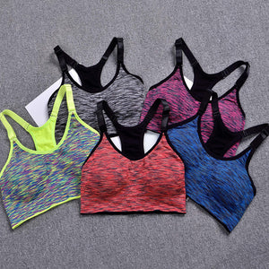 Vest Bra Sports Section Dyed Underwear