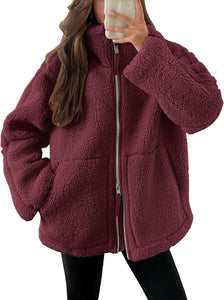 Casual Long Sleeve Oversized Warm Double Zipper Winter Teddy Jacket